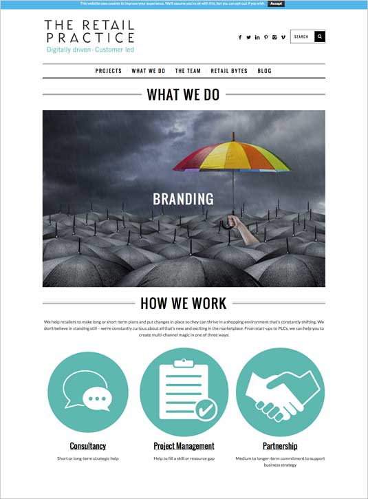 The Retail Practice website example page